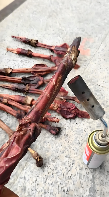 梅花鹿鹿鞭泡酒扔掉的时间取决于酒的度数和保存条件